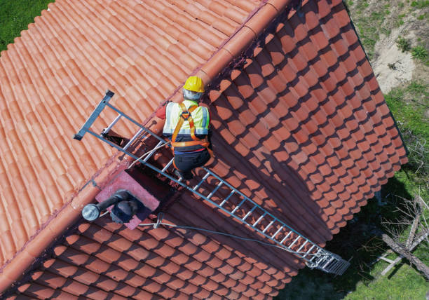 Roof Moss and Algae Removal in Omro, WI